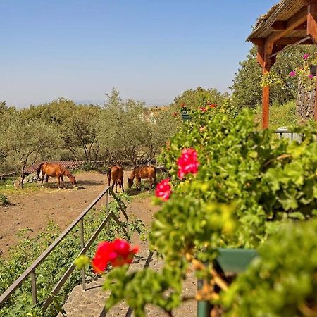Апартаменты Horse House Ragalna Экстерьер фото