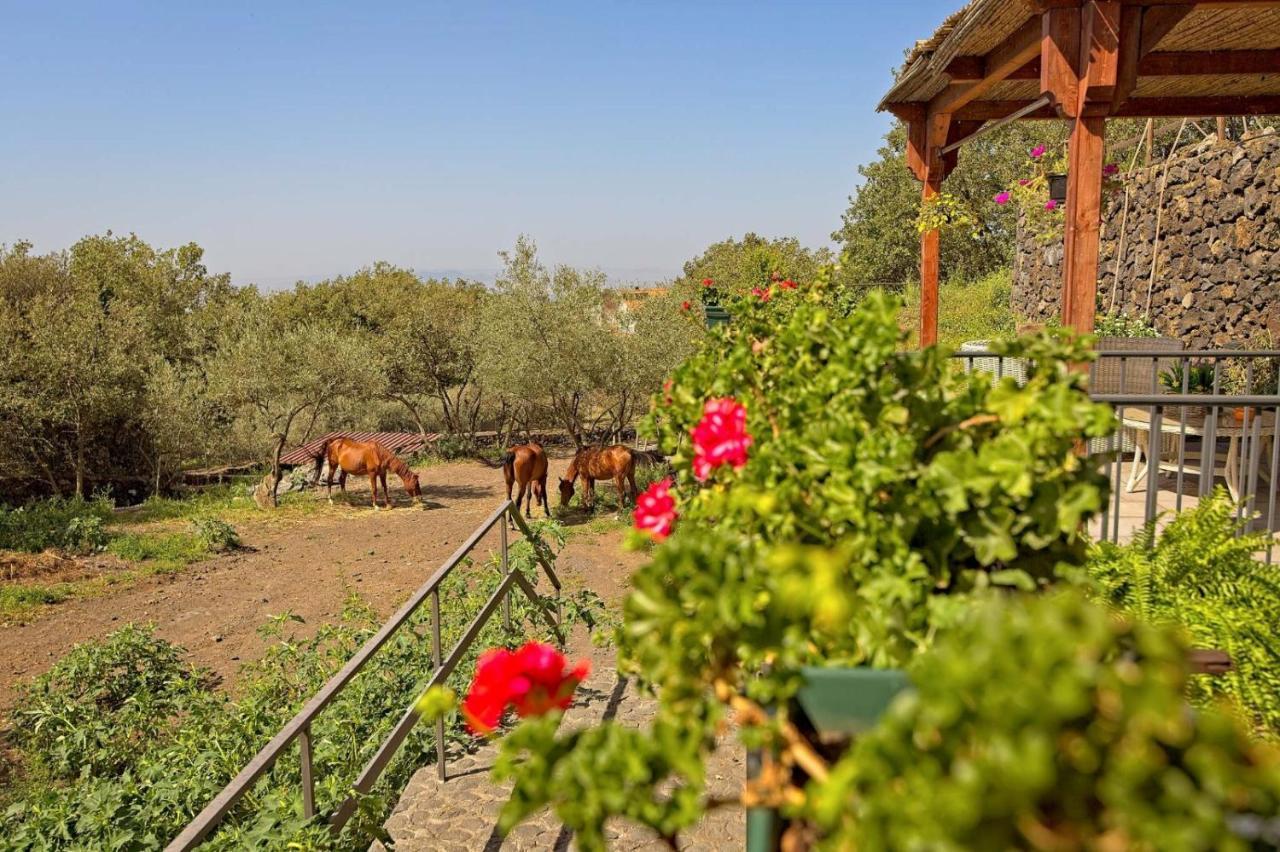 Апартаменты Horse House Ragalna Экстерьер фото